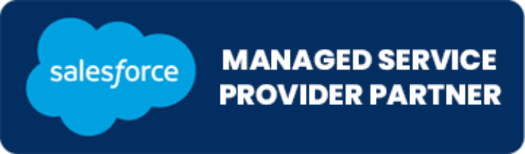 salesforce logo - managed service provider partner