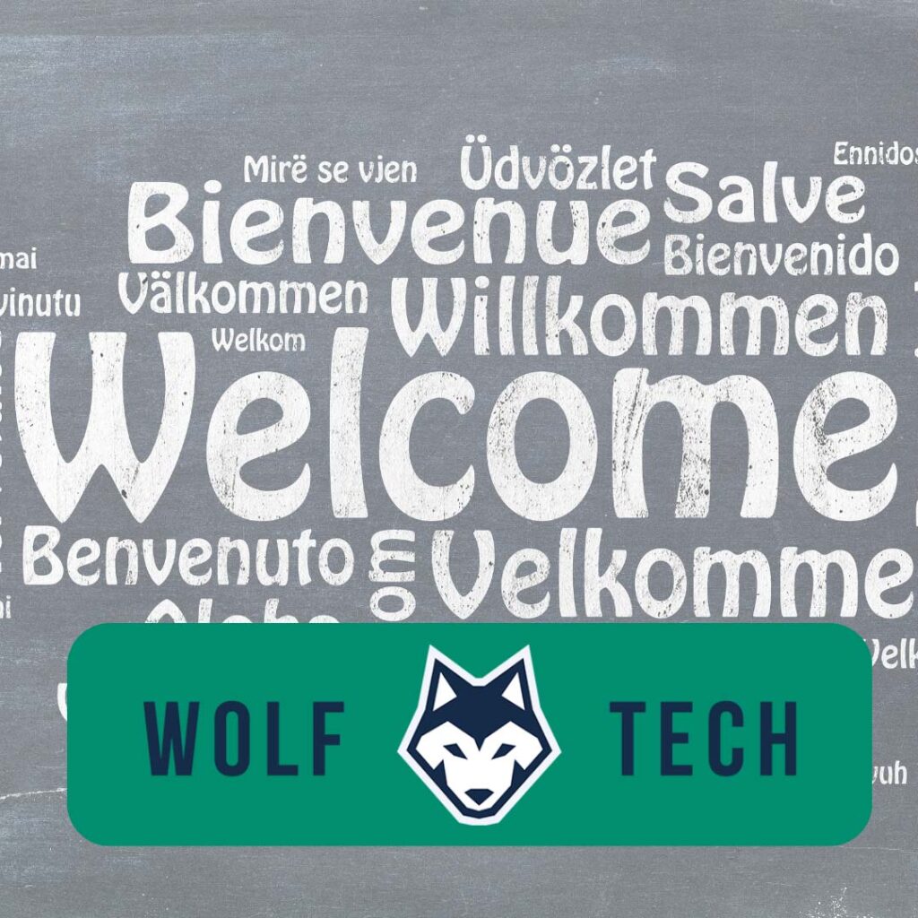 Palladin Technologies Expands Globally with WolfTech Services B.V.