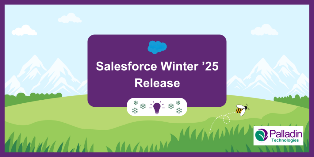 Salesforce Winter '25 Release