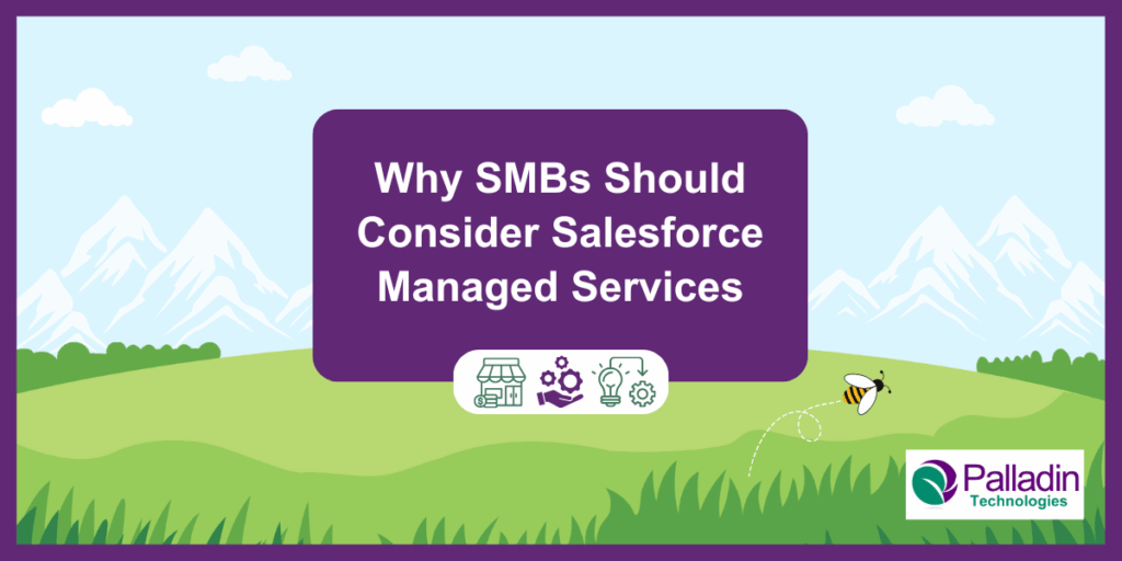 Salesforce Managed Services SMBs