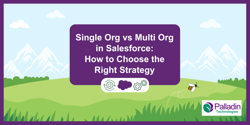 Single vs Multi Org Salesforce