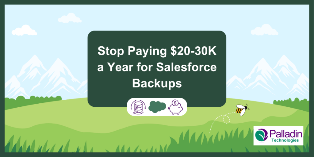 Salesforce backup costs
