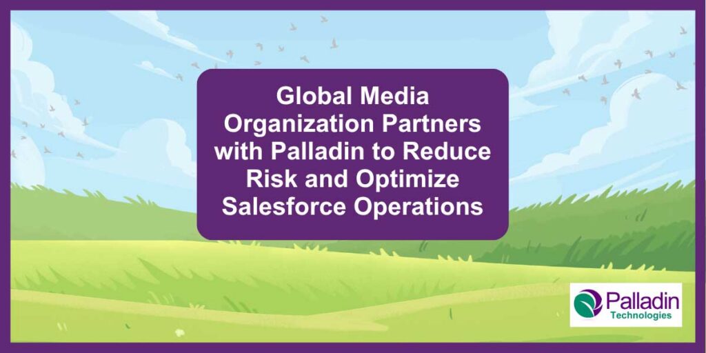 Salesforce Org Protection